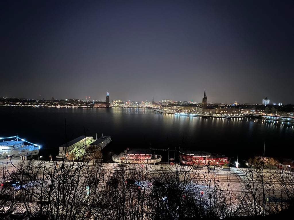 Monteliusvägen Viewpoint