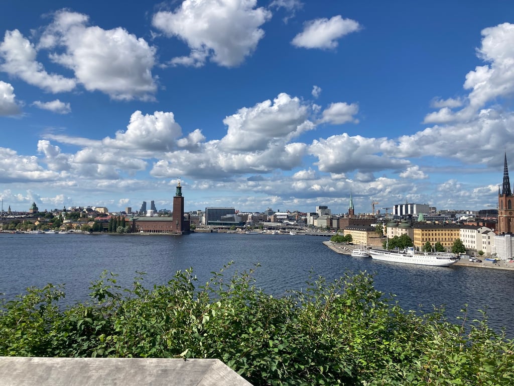 Monteliusvägen Viewpoint