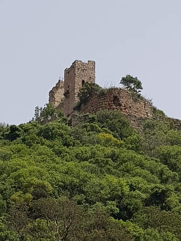 Montfort Castle
