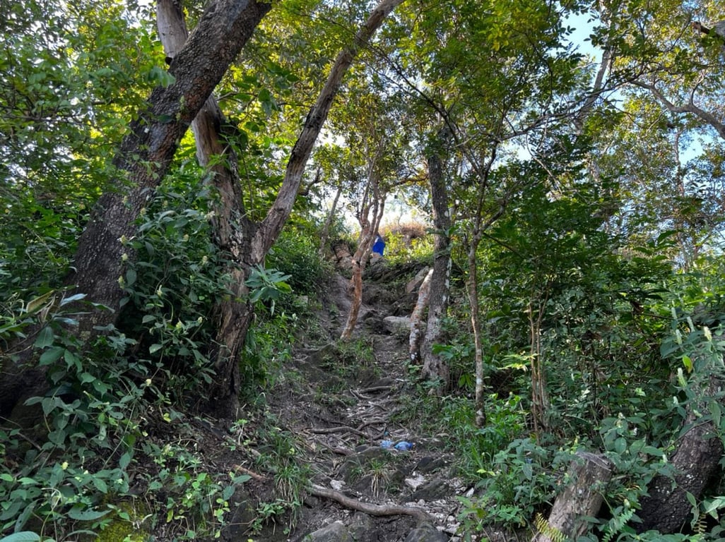 Mount Afadja