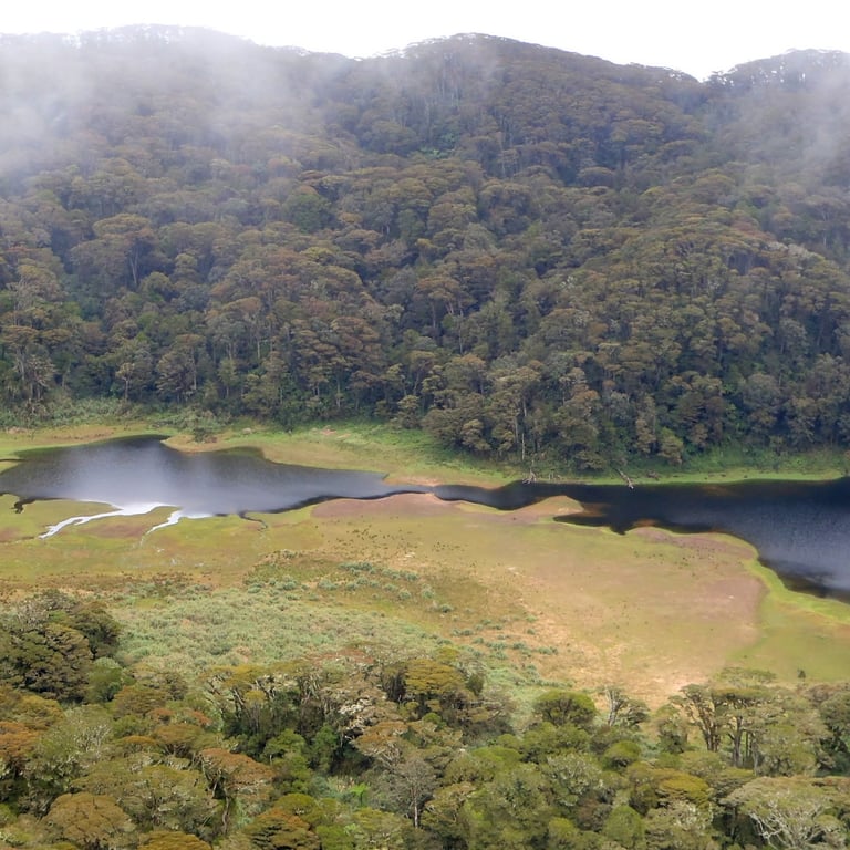 Mount Apo