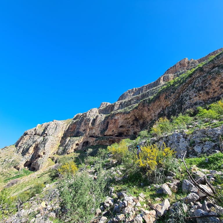 Mount Arbel National Park