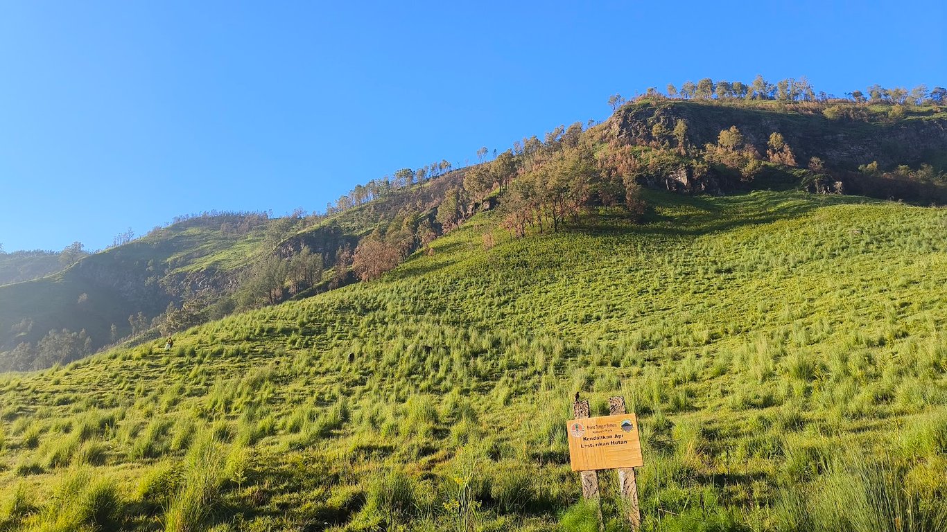Mount Bromo