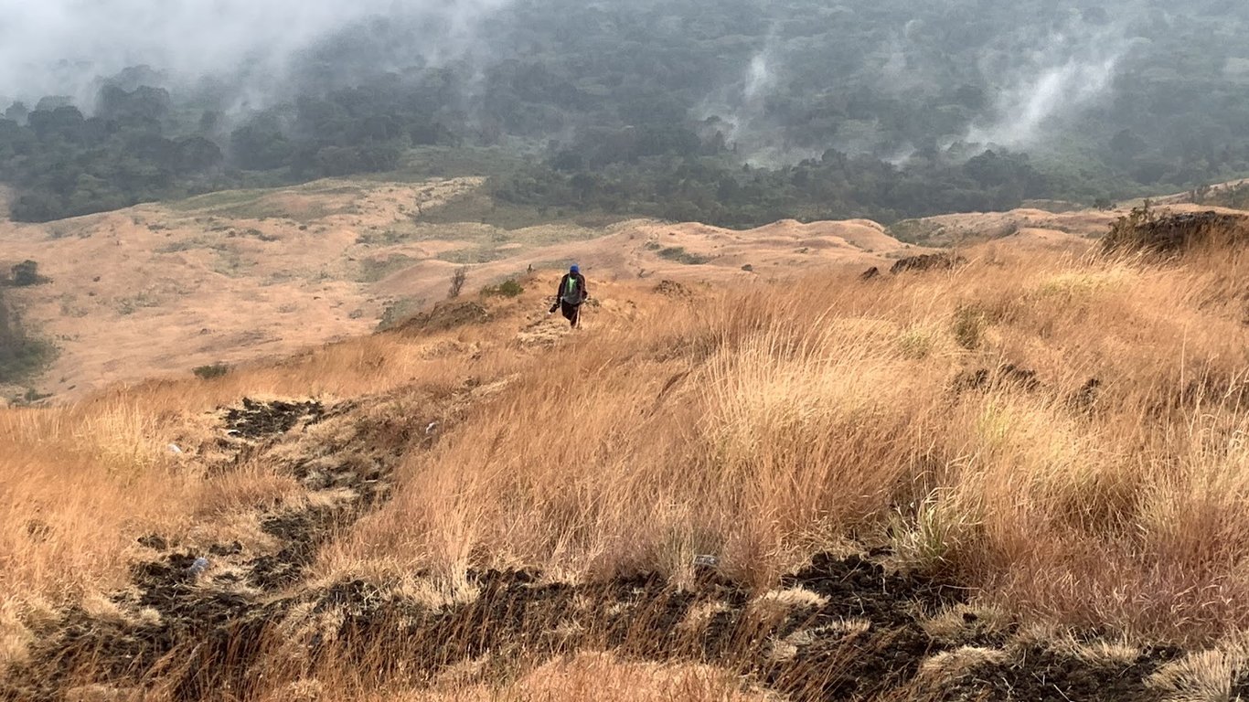 Mount Cameroon Trails