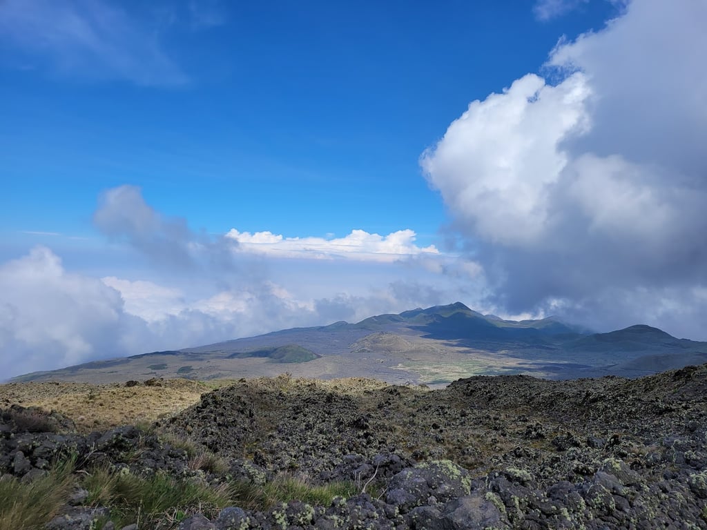 Mount Cameroon Trails