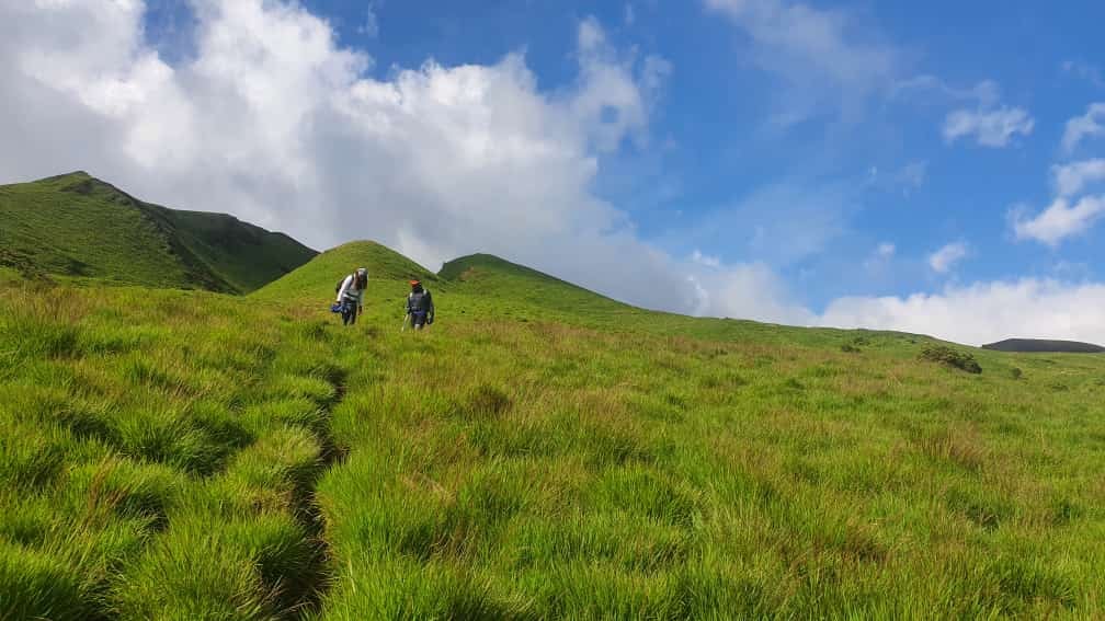 Mount Cameroon Trails