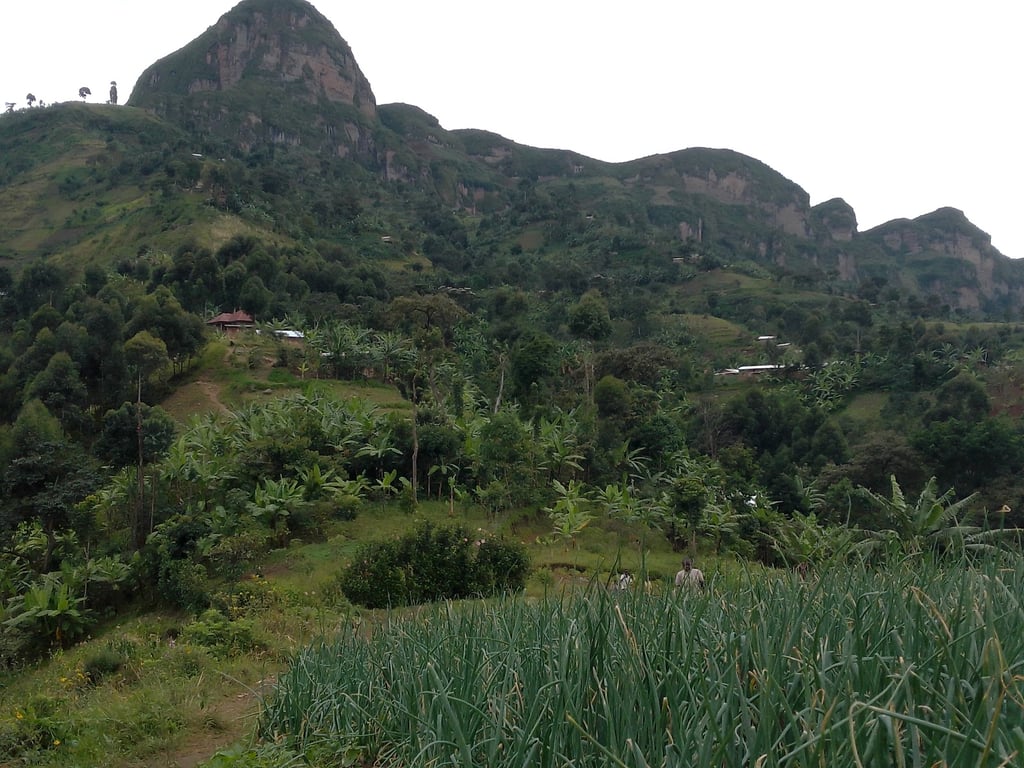 Mount Elgon National Park