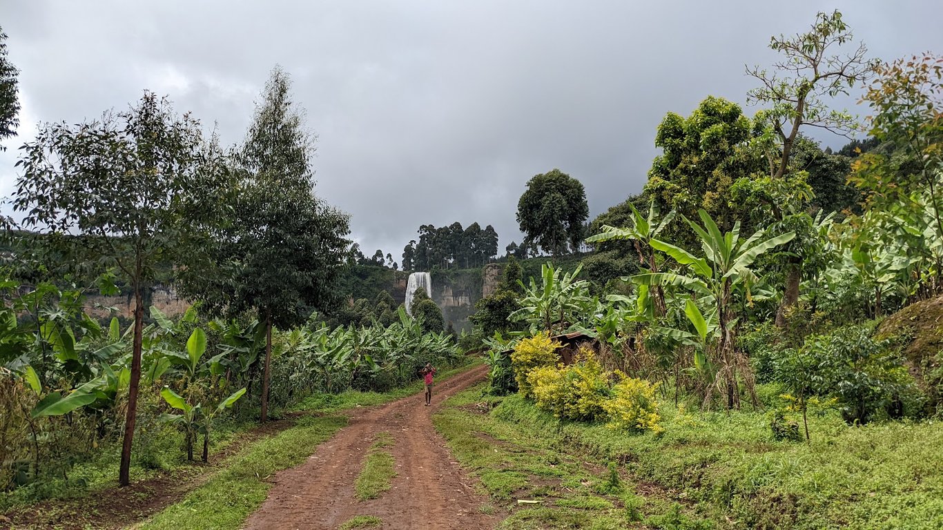Mount Elgon National Park