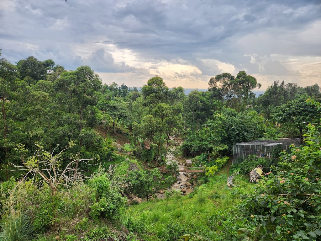Mount Elgon National Park