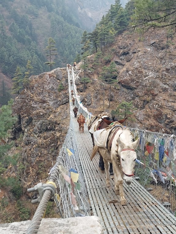 Mount Everest Base Camp