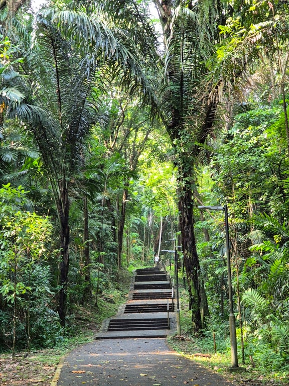 Mount Faber Park