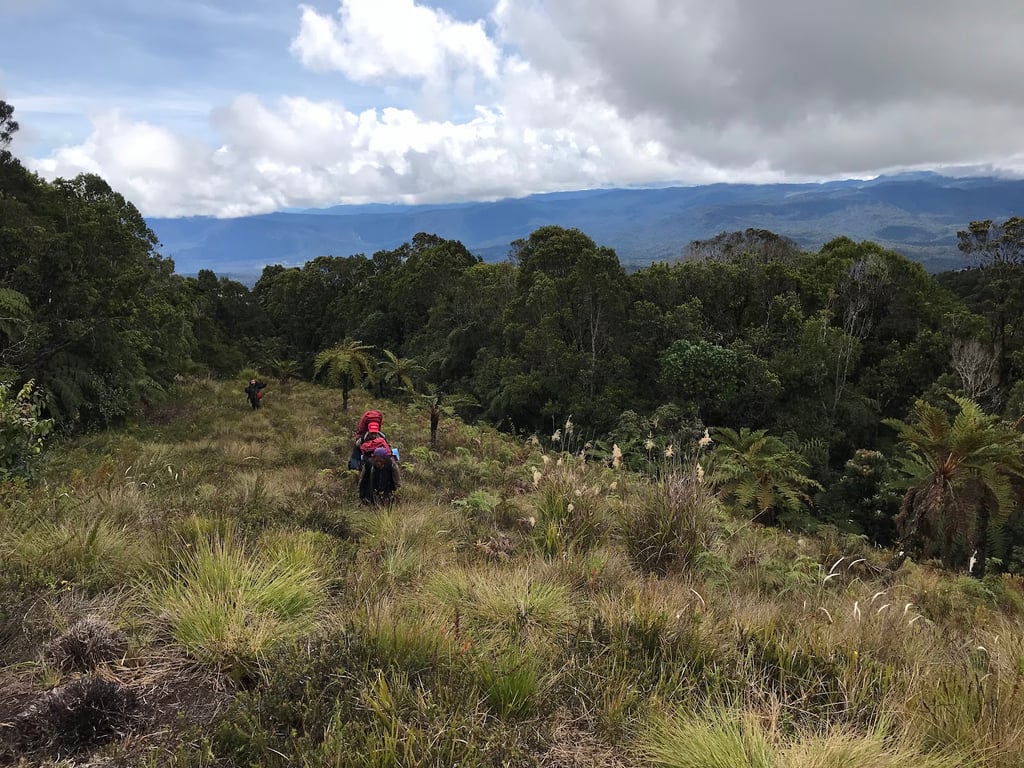 Mount Giluwe