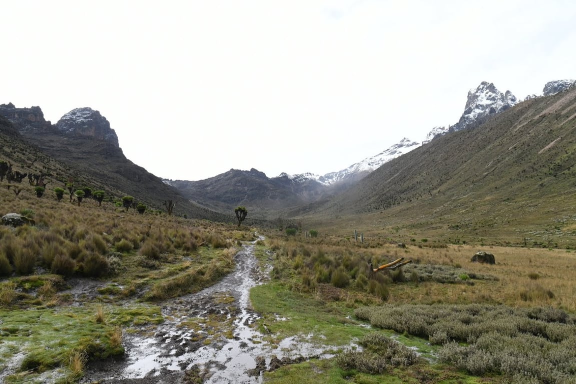 Mount Kenya