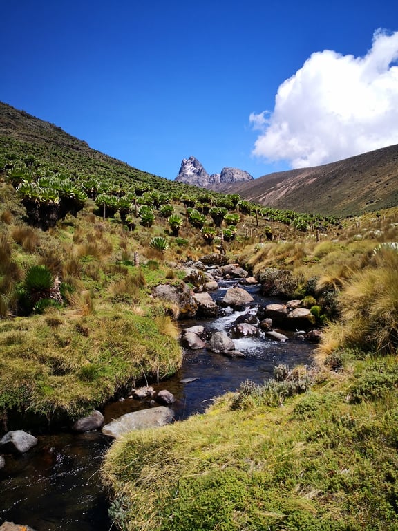 Mount Kenya