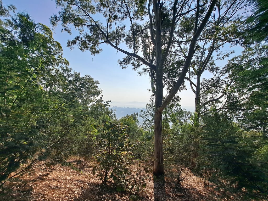 Mount Kigali Viewpoint