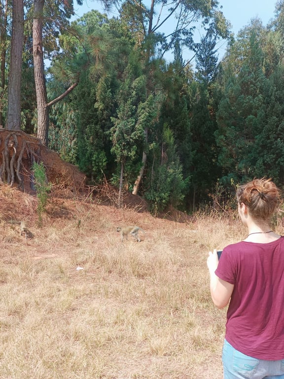 Mount Kigali Viewpoint