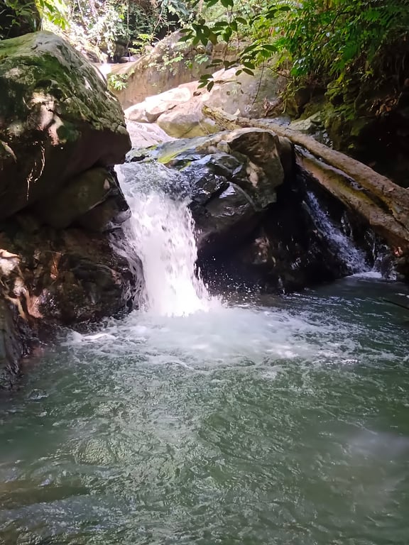 Mount Kinabalu National Park