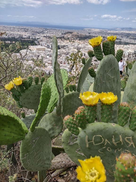 Mount Lycabettus View
