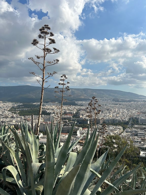 Mount Lycabettus View