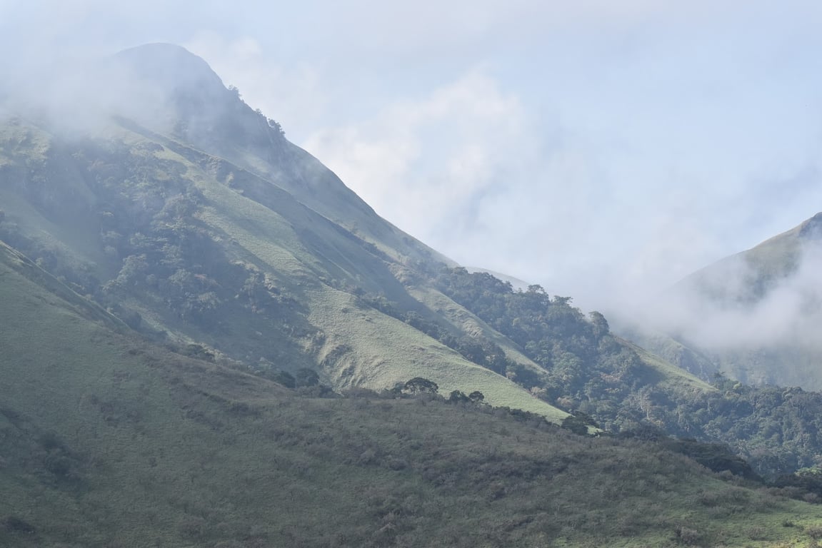 Mount Nimba Strict Nature Reserve
