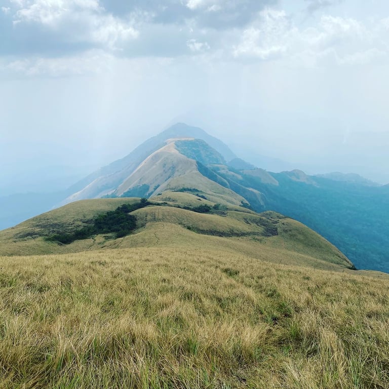 Mount Nimba Strict Nature Reserve