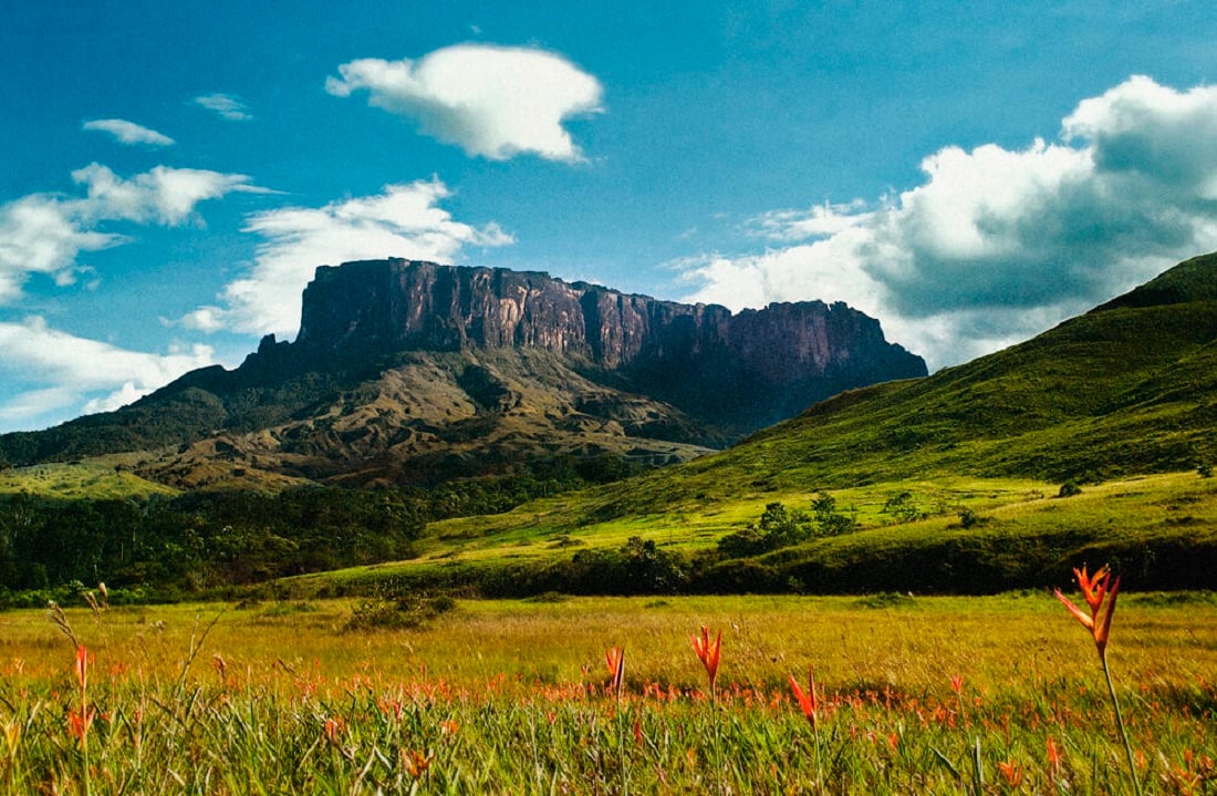 Mount Roraima