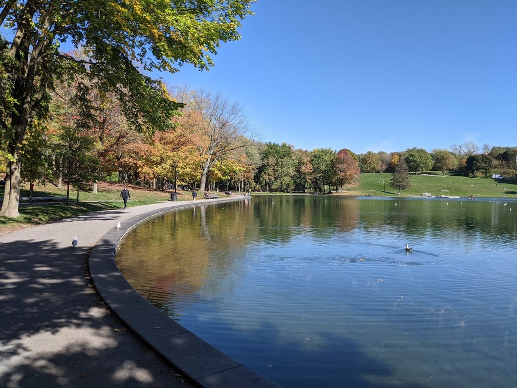 Mount Royal Park