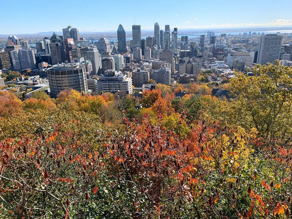 Mount Royal Park