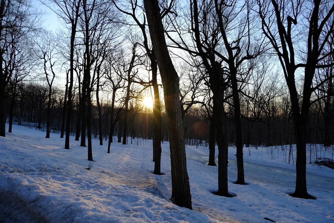 Mount Royal Park