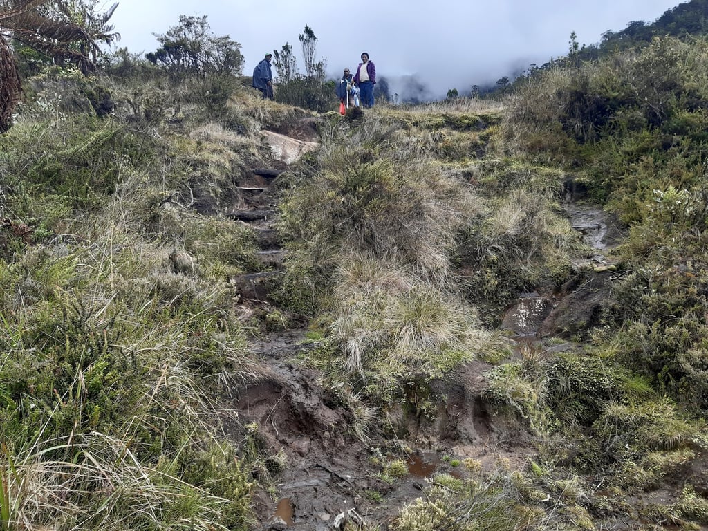 Mount Wilhelm