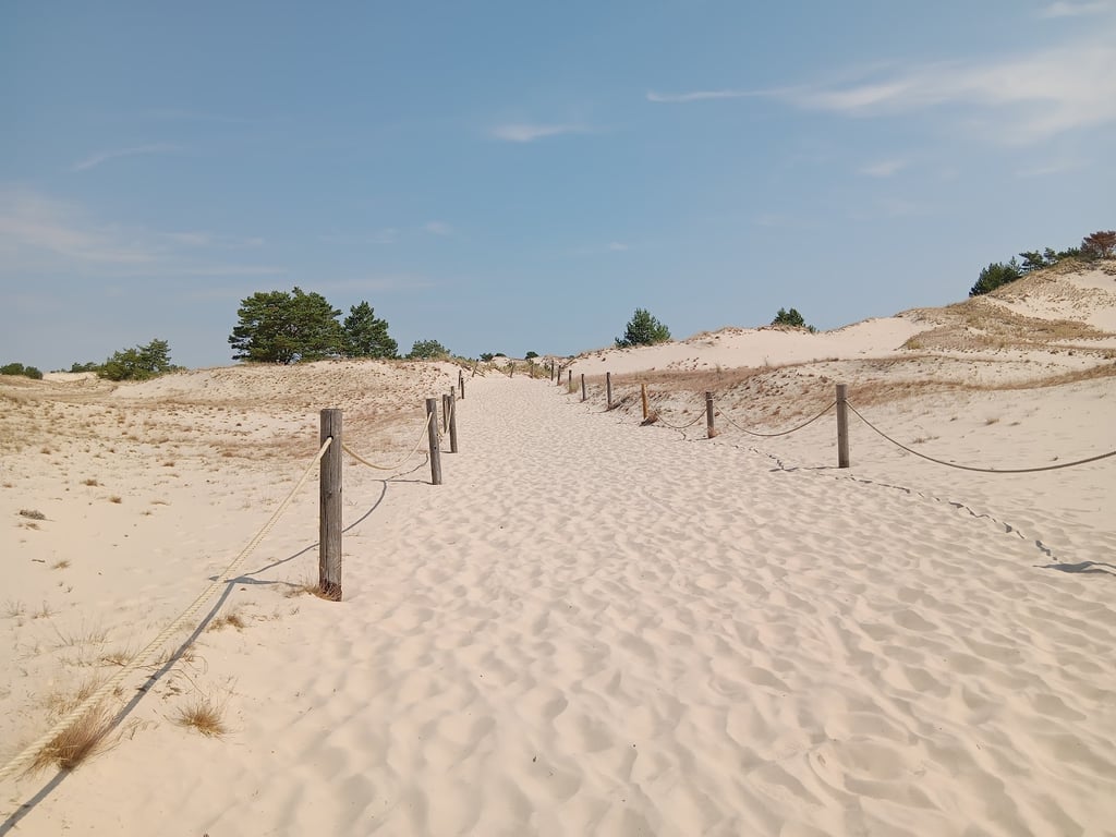 Moving Sand Dunes