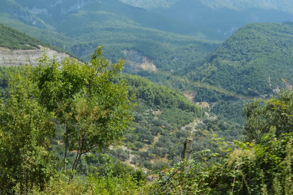 Mt. Dajti