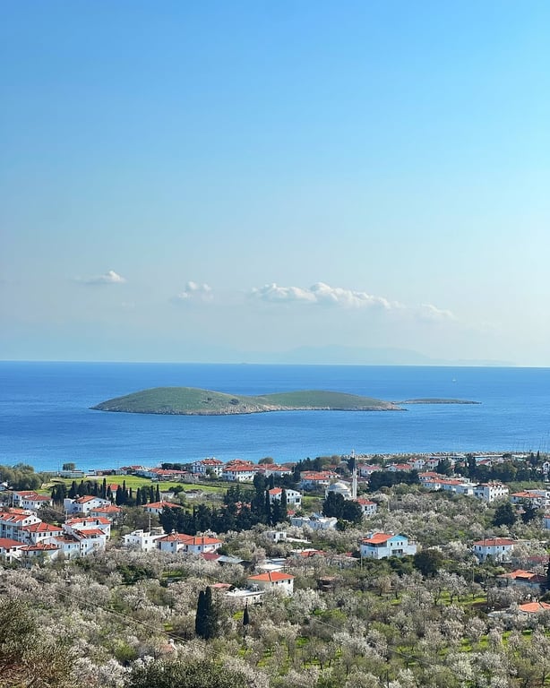 Palamutbükü