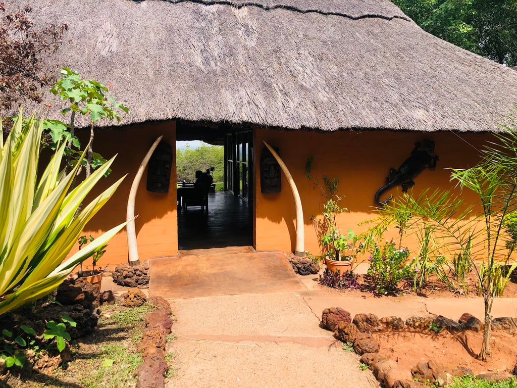 Mukuni Big Tree