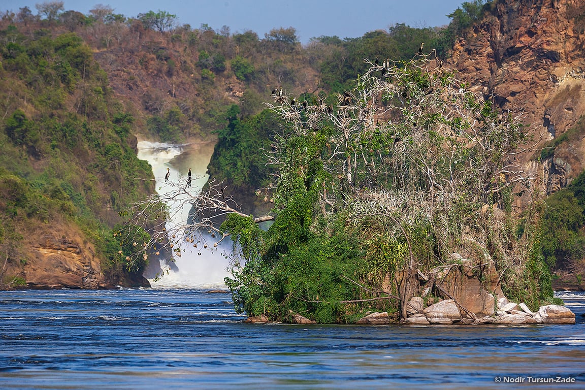 Murchison Falls