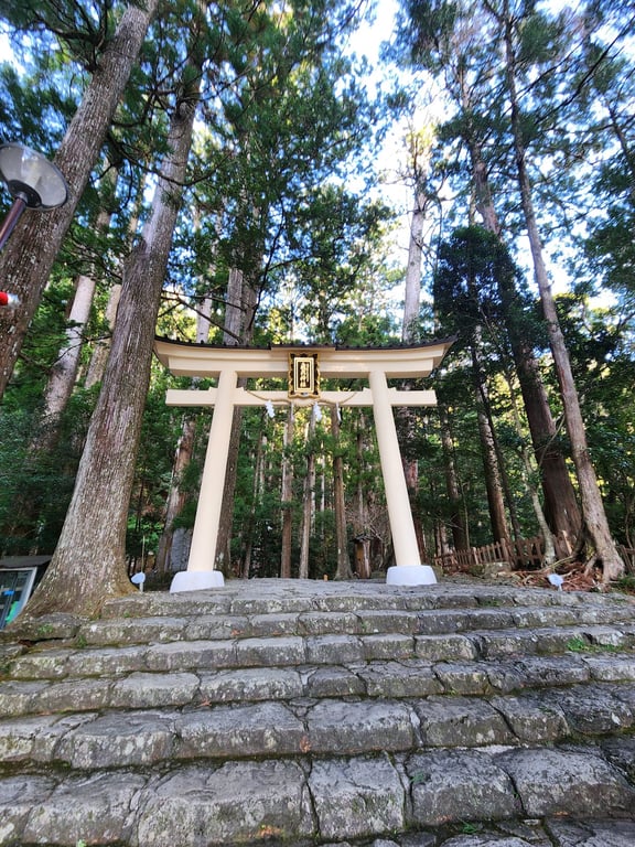 Nachi Falls & Seiganto-ji Pagoda