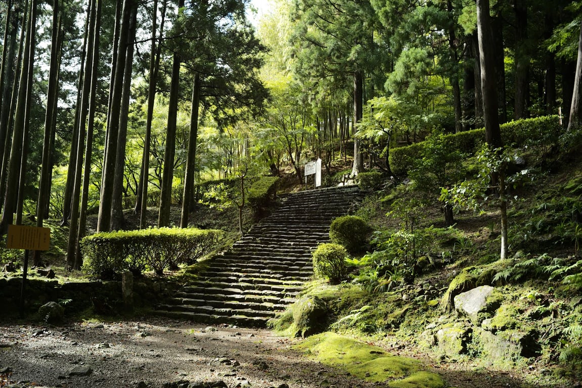 Nachi Falls & Seiganto-ji Pagoda
