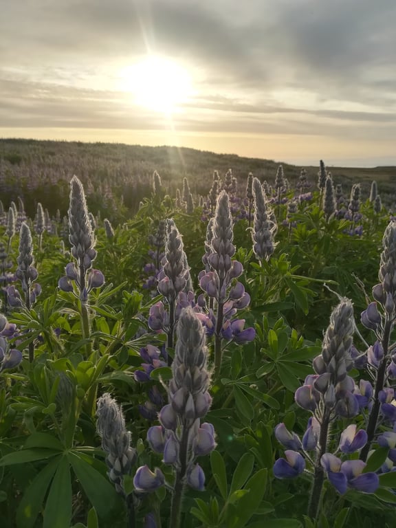 Snæfellsnes Peninsula