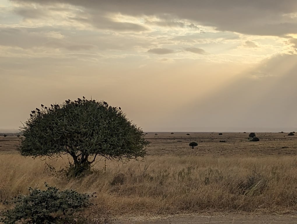 Nairobi National Park