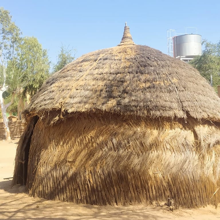 National Museum & Zoo