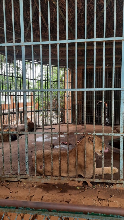 National Museum & Zoo