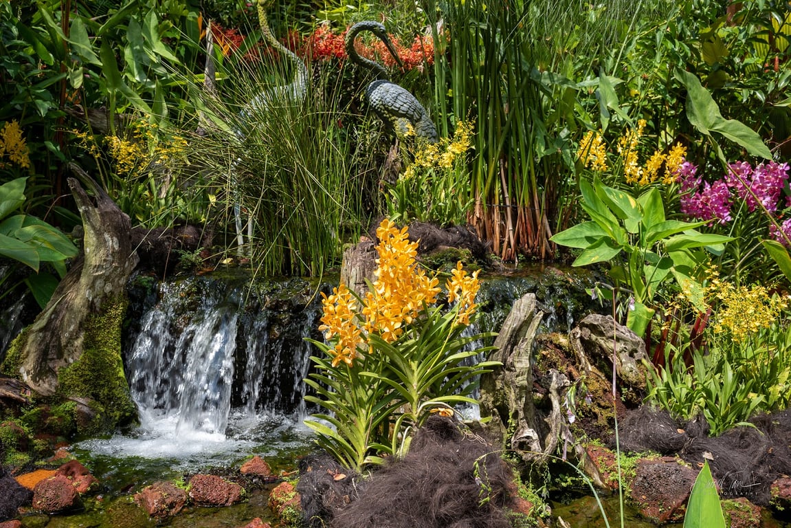 National Orchid Garden