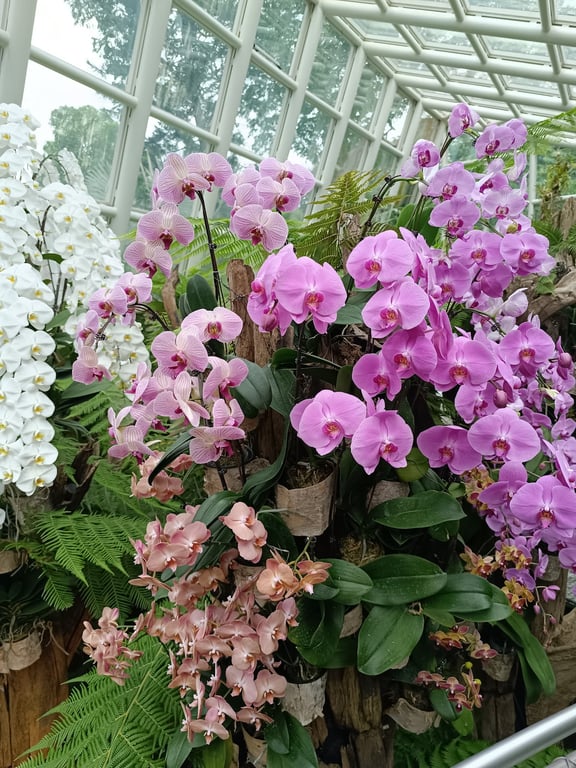 National Orchid Garden