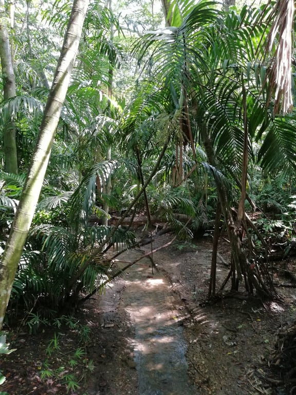 Nature Park