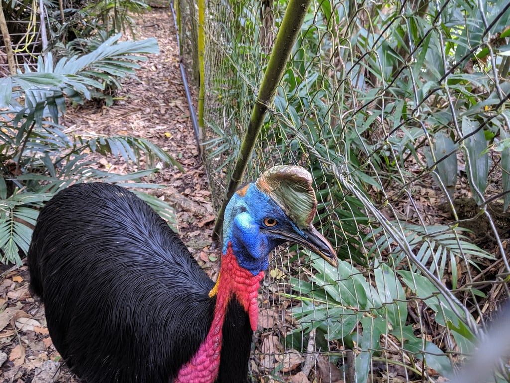 Nature Park