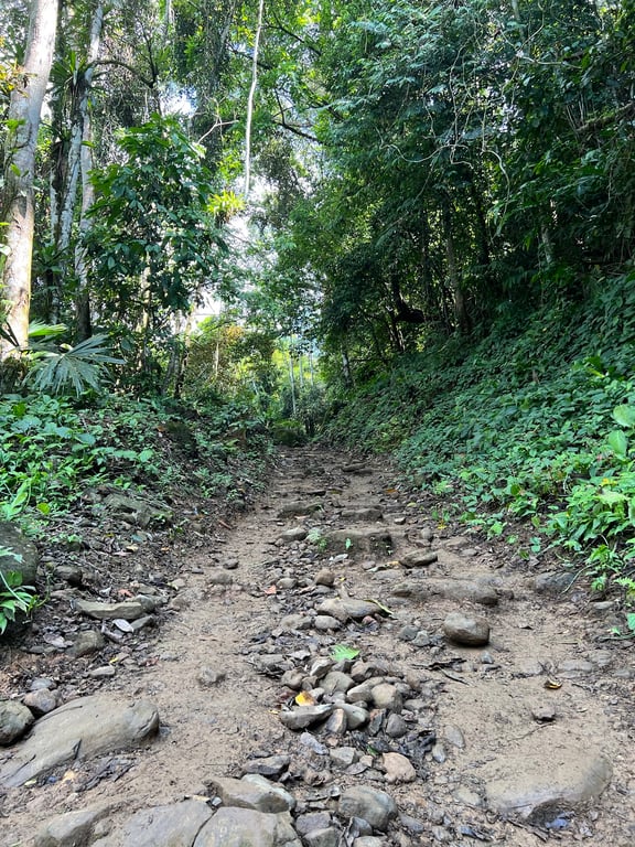 Nauyaca Waterfalls