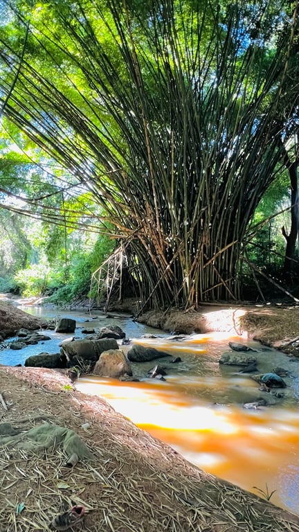 Ndalatando Botanical Garden