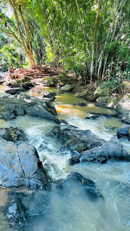 Ndalatando Botanical Garden