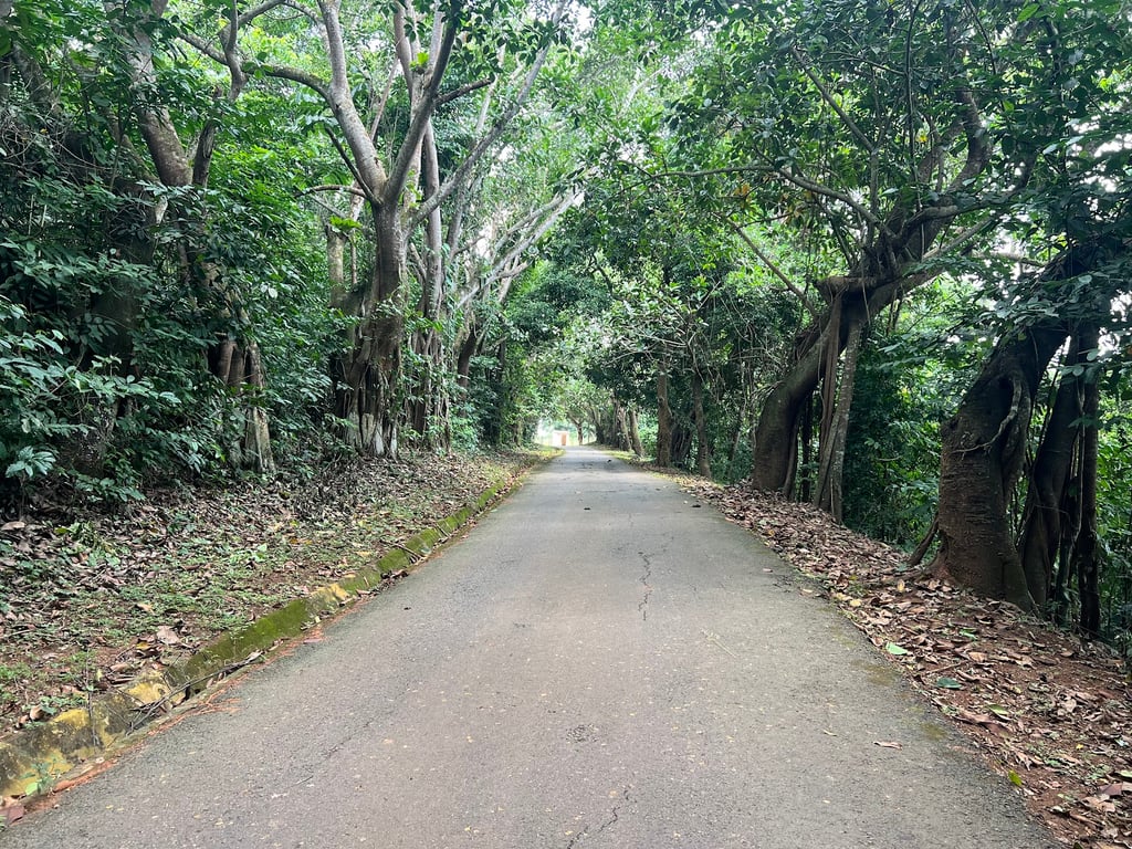 Ndalatando Botanical Garden