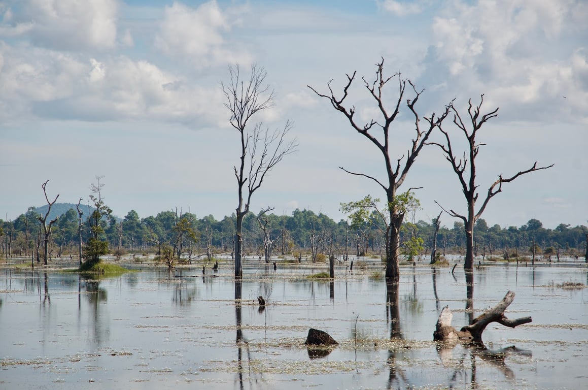 Neak Pean